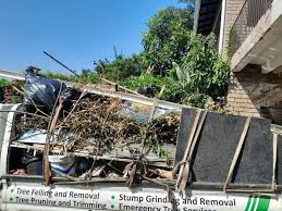 Types of Items We Remove From Your Property in Custer, SD